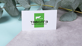 Таволга