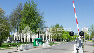 Альфа Жат