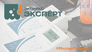 Эконикс-Эксперт