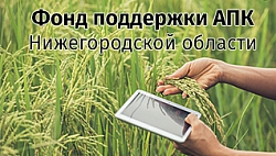 Фонд поддержки АПК Нижегородской области