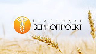 КраснодарЗерноПроект