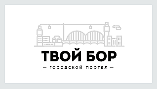 Твой Бор 2.0